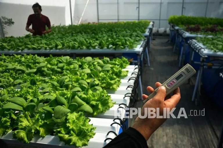 Perkembangan Lebih Lanjut dalam Peningkatan Benih