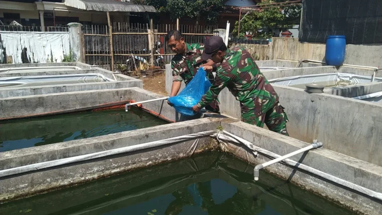 Permasalahan Umum dalam Agribisnis Ikan Gurami