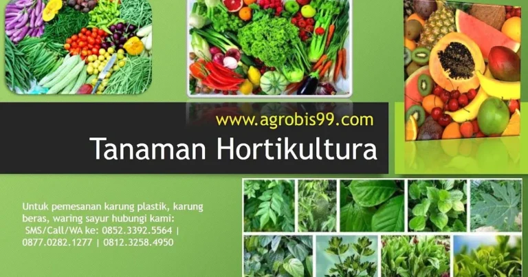 Praktek Terbaik dalam Budidaya Tanaman Hortikultura