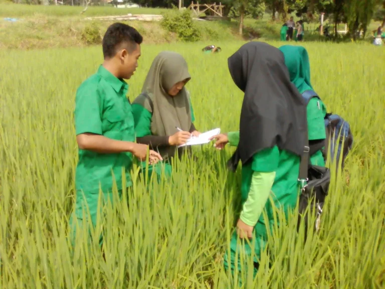 Praktik Terbaik dalam Penyimpanan Benih