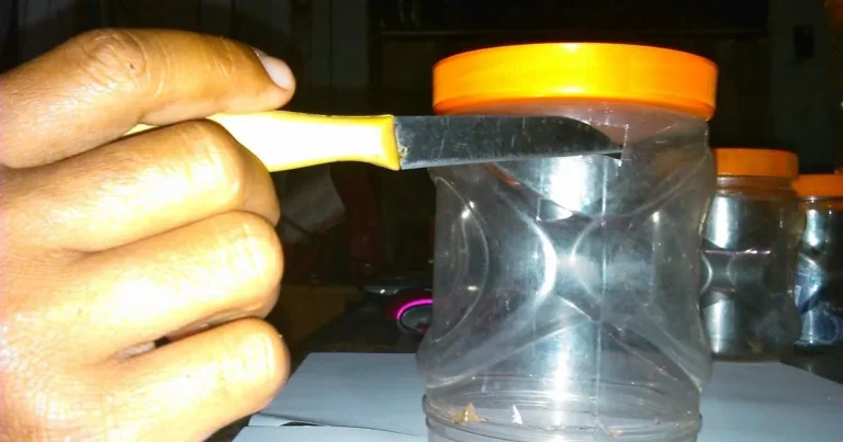 Proses Ternak Kroto yang Sukses