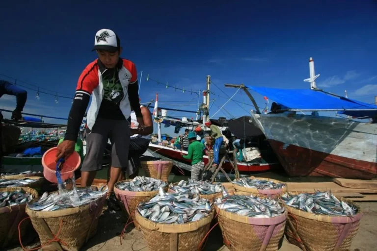 Prospek Agribisnis Perikanan di Indonesia