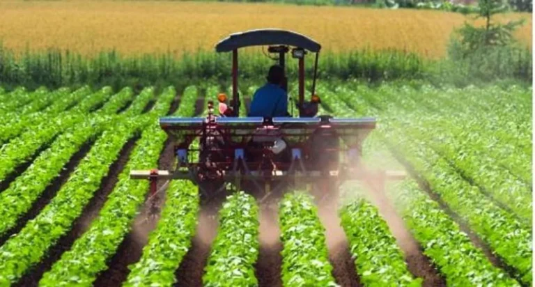 Prospek Kerja Agroteknologi dan Agribisnis