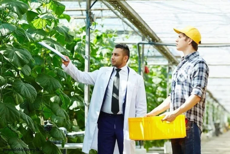 Prospek Kerja Agroteknologi dan Agribisnis