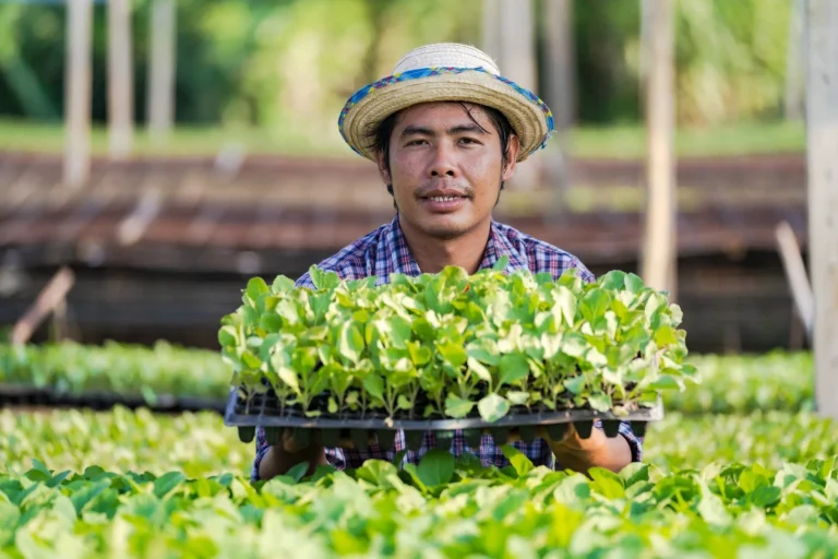 Prospek Pasar Pupuk Organik di Industri Pertanian