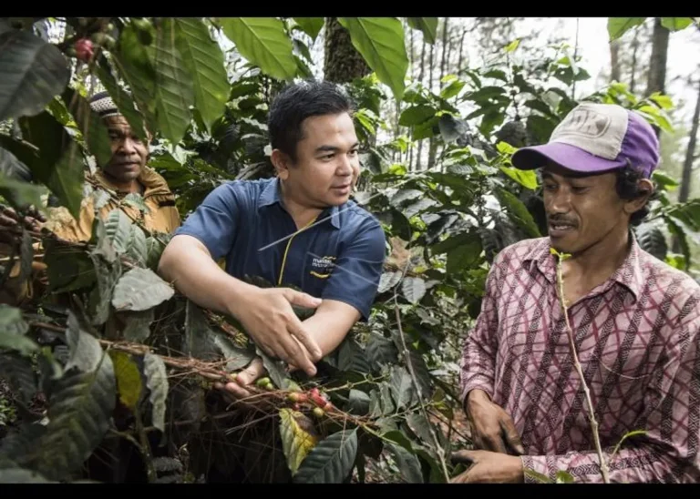 Rekomendasi Kebijakan untuk Mendorong Agribisnis dan Pemberdayaan Petani Kecil