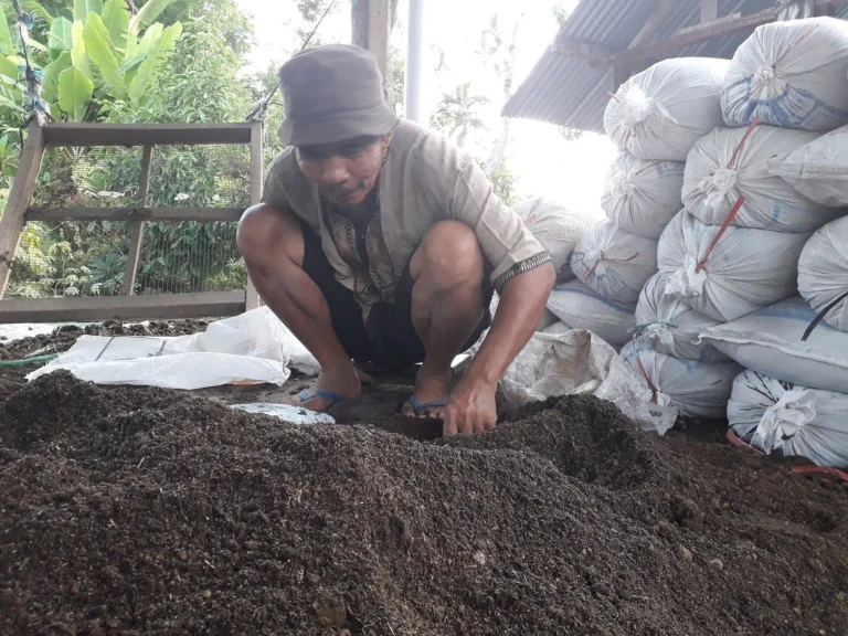 Rekomendasi Pupuk Organik untuk Pertanian Berkelanjutan