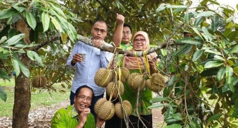 Strategi Pemasaran dalam Agribisnis Buah-buahan