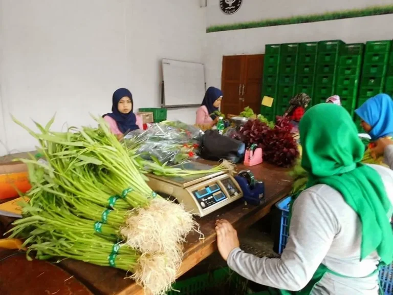 Strategi Pemasaran Produk Pertanian Organik yang Sukses