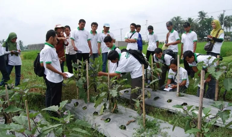 Strategi Pemberdayaan Petani Muda dalam Agribisnis