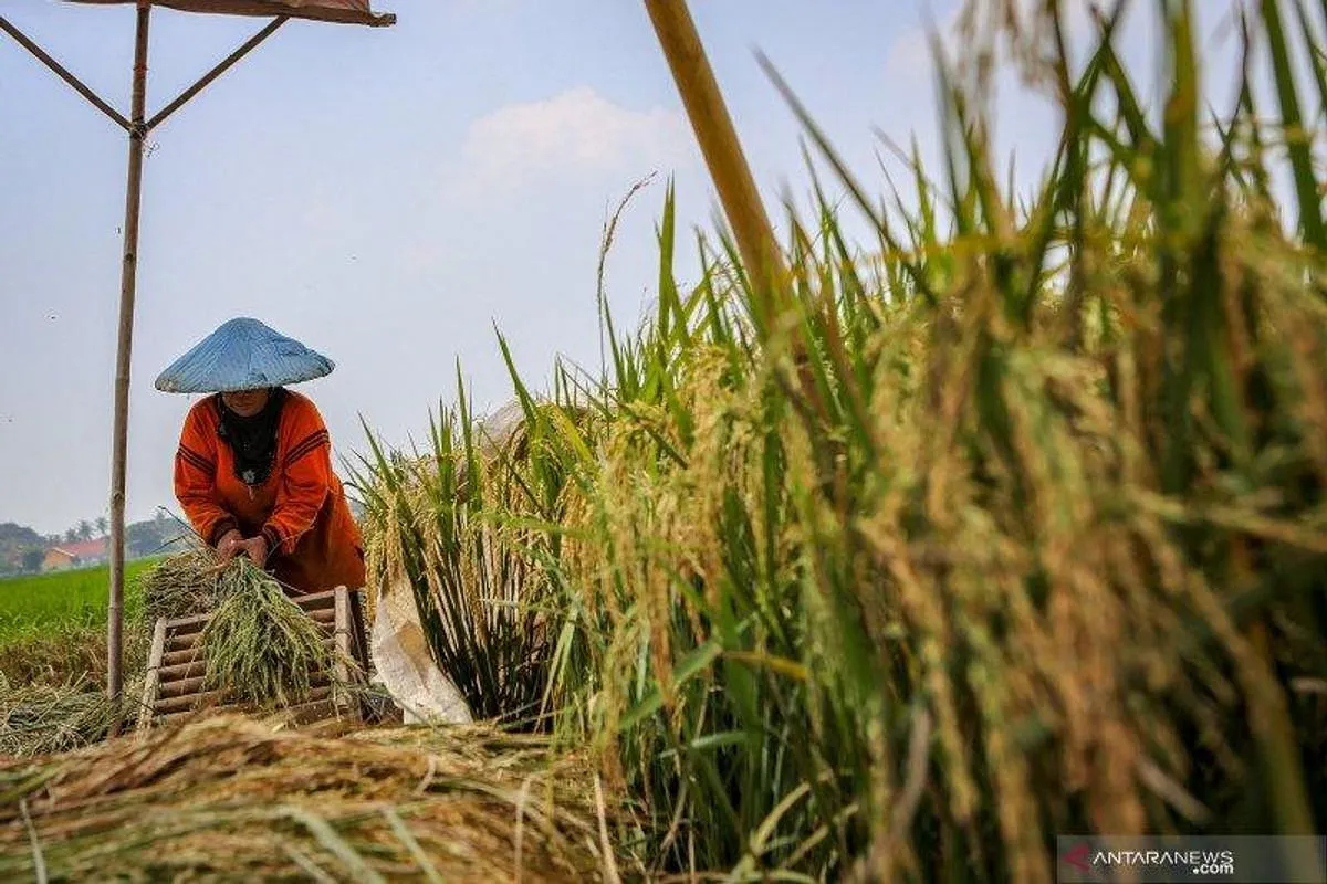Strategi Pengelolaan Risiko dalam Agribisnis
