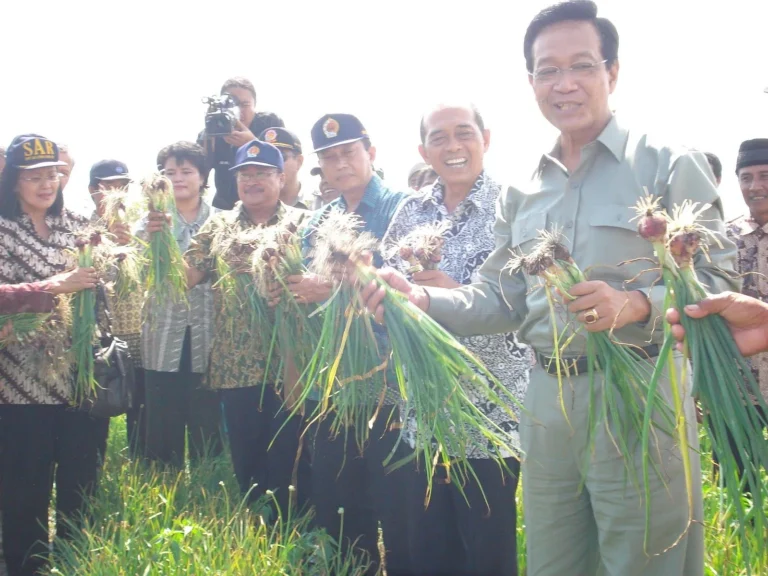 Strategi Peningkatan Ketahanan Pangan