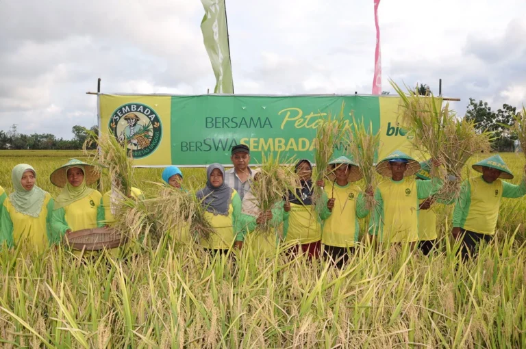 Studi Kasus Keberhasilan Agribisnis dan Pemuda Desa