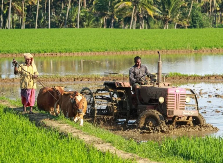 Studi Kasus Keberhasilan Integrasi Agribisnis dan Agroteknologi