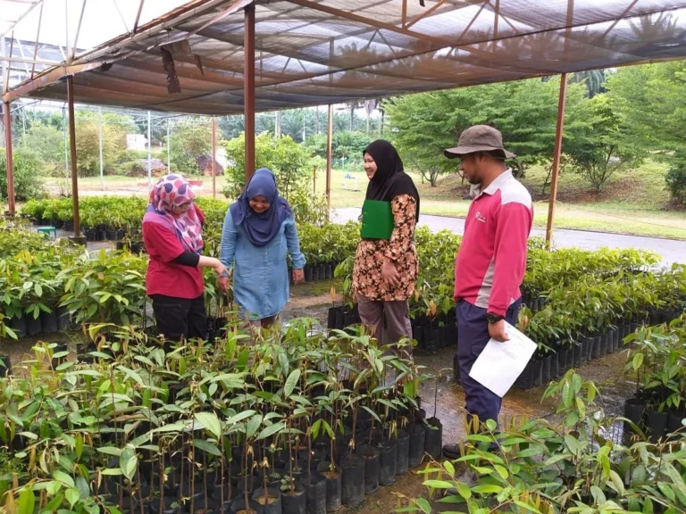 Studi Kasus Sukses dalam Implementasi Teknik Penyimpanan Hasil Pertanian yang Baik