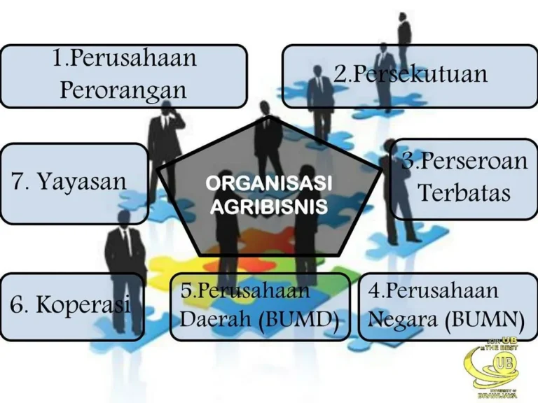 Studi Kasus: Sukses dengan Struktur Organisasi yang Tepat