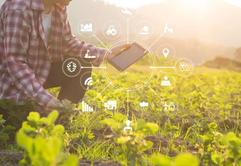 Tantangan dalam Mengadopsi Teknologi Agribisnis