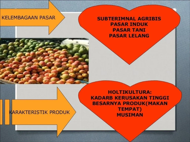 Tantangan dan Kendala dalam Penerapan Sistem Pemasaran Agribisnis