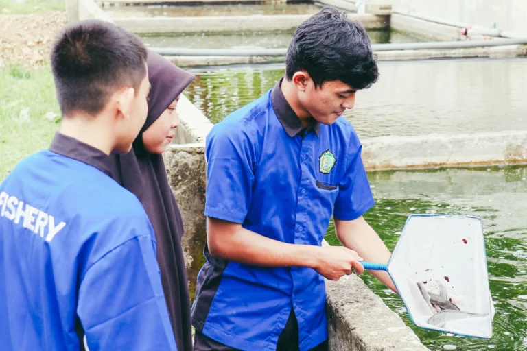Tantangan dan Peluang dalam Agribisnis Perikanan Air Tawar