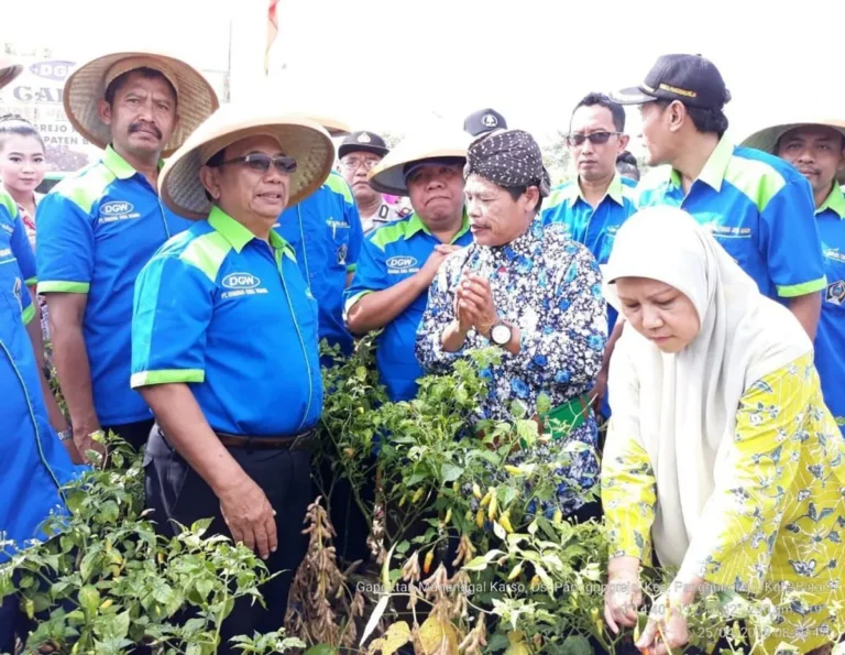 Tantangan dan Peluang dalam Inovasi Hortikultura