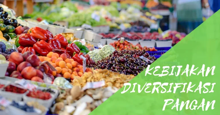 Tantangan dan Solusi dalam Agribisnis Modal Kecil