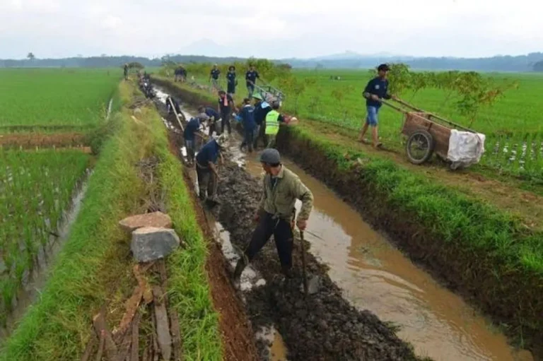 Tantangan dan Solusi dalam Implementasi Irigasi yang Efisien