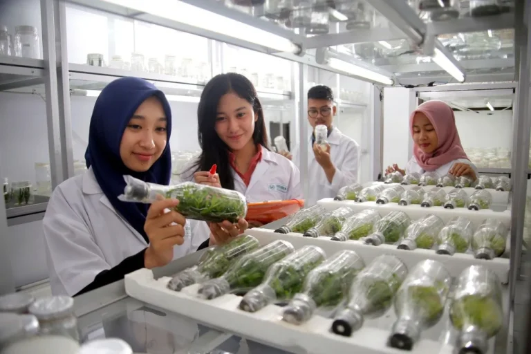 Tantangan Terkini dalam Strategi dan Kebijakan Pembangunan Agribisnis