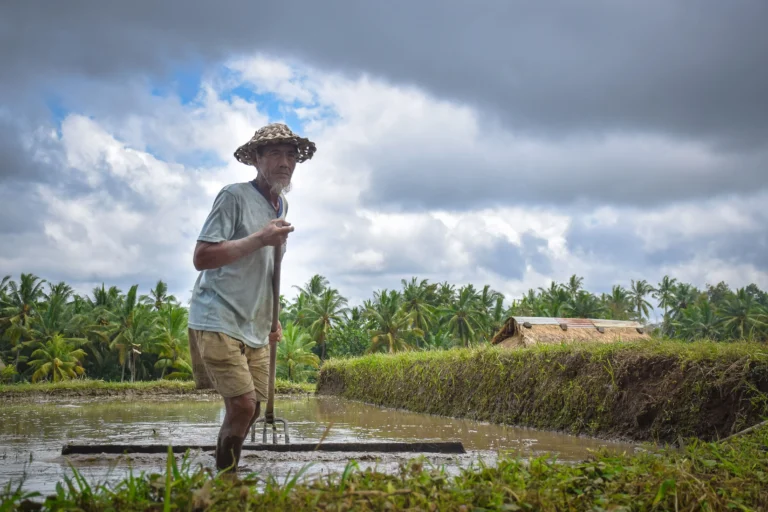 Transformasi Agribisnis: Menyongsong Masa Depan
