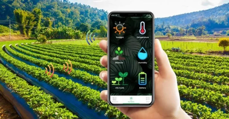 Transformasi Digital dalam Agribisnis Tempe