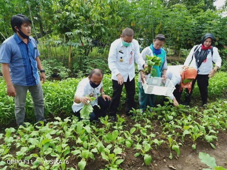 Transformasi Sosial Melalui Agribisnis