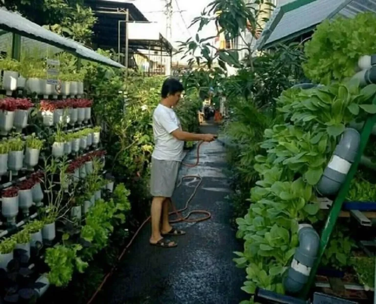 Varietas Tanaman Unggulan dalam Pertanian Vertikal