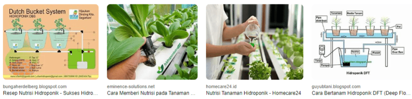 Bagaimana cara mengatur nutrisi pada sistem hidroponik