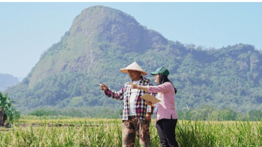 Pertanian Berbasis Data: Menjawab Tantangan Masa Kini